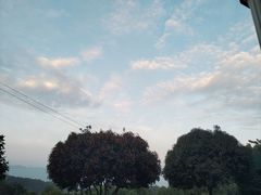 -金水泊山庄·花椒鸡(铁山坪店)