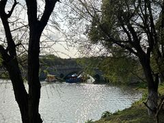 -八大山人梅湖景区