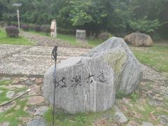 -松涛居·荔枝柴烧鹅(三墩总店)