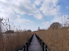 -苏州太湖国家湿地公园