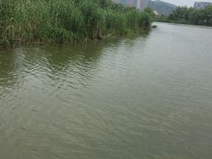 -长兴太湖图影湿地文化园
