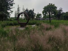 -嘉北郊野公园