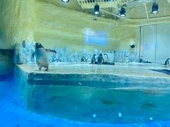 -威海华夏城景区