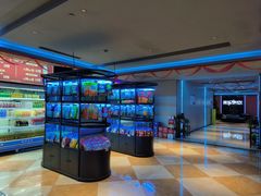 -开乐迪KTV(石桥店)