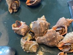 -浩运·海鲜青岛菜·海胆水饺(石老人店)