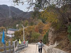 -大岭沟猕猴桃谷风景区