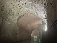 -816工程景区