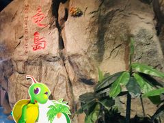 -泉城欧乐堡海洋极地世界