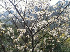 -宁波五龙潭景区