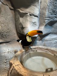 -Zoolung Zoolung动物主题公园(海信广场店)