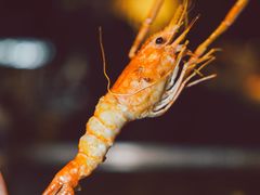 -三川·十酒Izakaya(南昌路店)