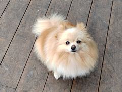 -Manner Coffee(徐汇滨江店)