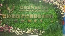 -欲非舞蹈