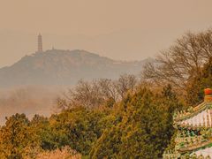 -颐和园