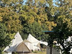 -小鱼草莓采摘园农家乐·小鱼餐厅