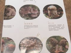 -蘑界·野生菌火锅(深业上城店)