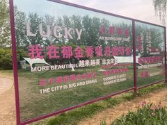 -洛阳郁金香牡丹园