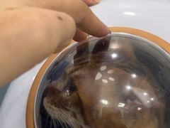 -纳吉亚猫专科动物诊疗中心(蒋宅口分院)