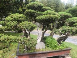 -兰瑜伽·普拉提