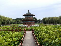 -大明幻境第一城