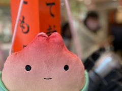 -伏小桃(明瓦廊店)