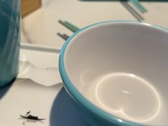 -江边城外烤全鱼(世茂广场店)
