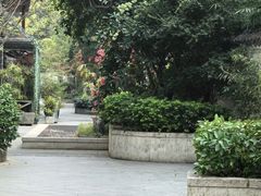-光明港公园