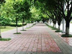-西南政法大学(渝北校区)