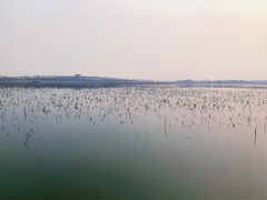 -天津东丽湖风景区