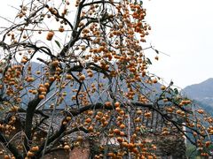 -篁岭景区