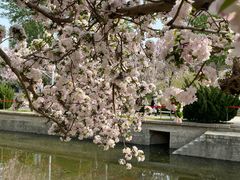 -元大都城垣遗址公园