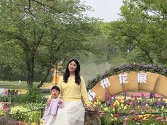 -苏州上方山国家森林公园