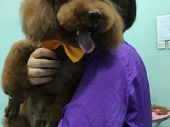 -宠颐生中康贝怡动物医院