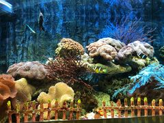 -北戴河圣蓝海洋公园