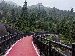 -玉苍山国家森林公园