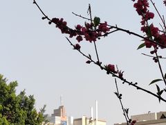 -乌山风景区