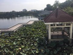 -箸福·夜上海(月牙湖公园店)