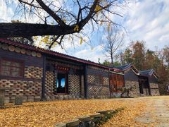 -千年银杏谷文化旅游区
