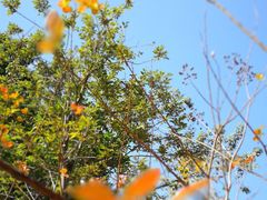 -海港城购物中心