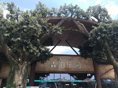 -杭州开元森泊度假乐园