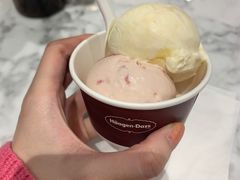 -哈根达斯(武汉天地店)