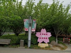 -高东镇樱花园