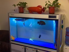 -静雅养生会所(保利·叶公馆店)