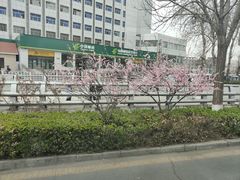 -顺溜·手工刀削面·黑金店(铜锣湾店)