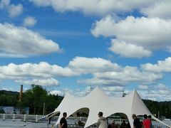 -汤旺河林海奇石景区