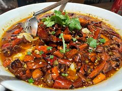 -铁公鸡·四川料理(天环广场店)