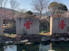 -香雪海