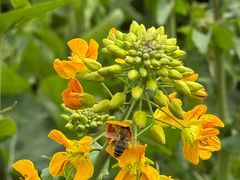 -中国天府农业博览园