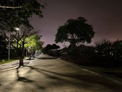 -厦门园林博览苑