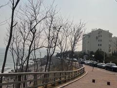 -燕儿岛山公园